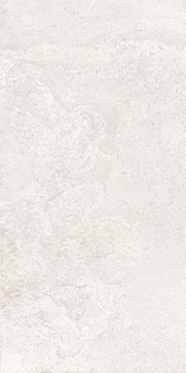 Petra Viva Bone Matte 12 x 24